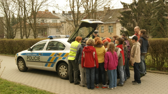 Zebra 6.JPG