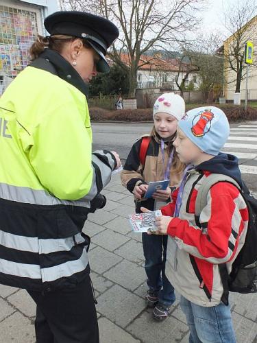 Zebra Boskovice 2.jpg