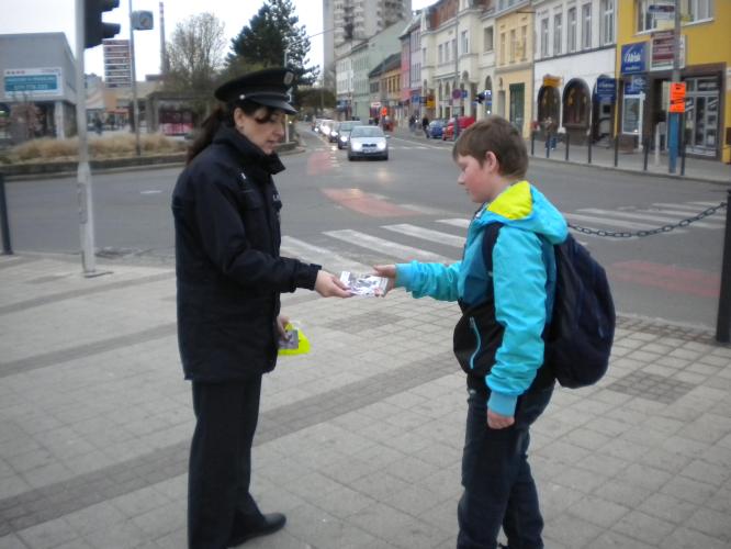 Zebra Břeclav 3.jpg