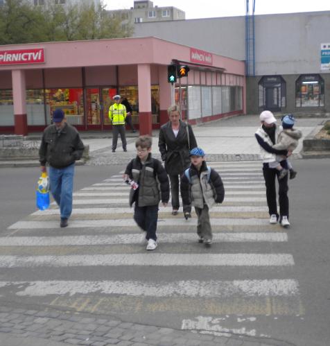 Zebra Břeclav 4.jpg