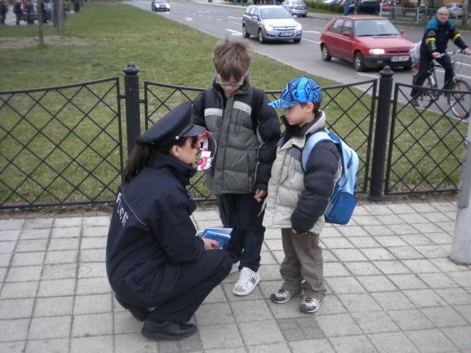 Zebra Břeclav 5.jpg