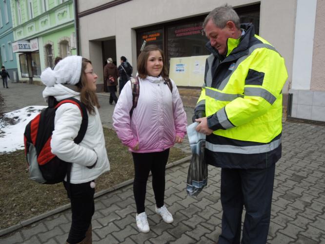 Zebra Březová nad Svitavou