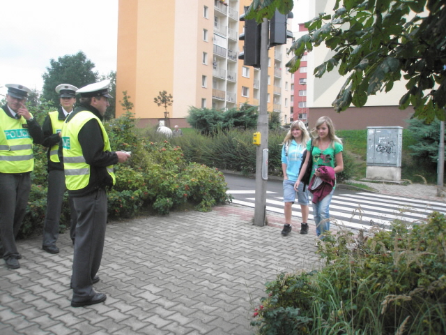 Zebra - Česká Lípa 3.jpg