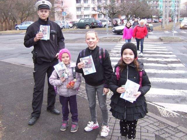 Zebra  Chomutov