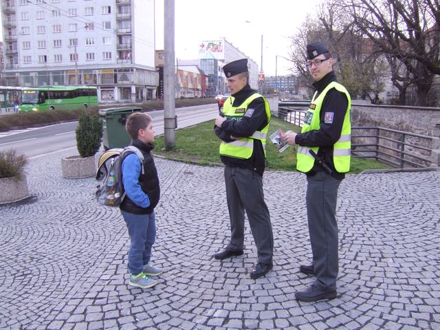 Zebra Chomutov 