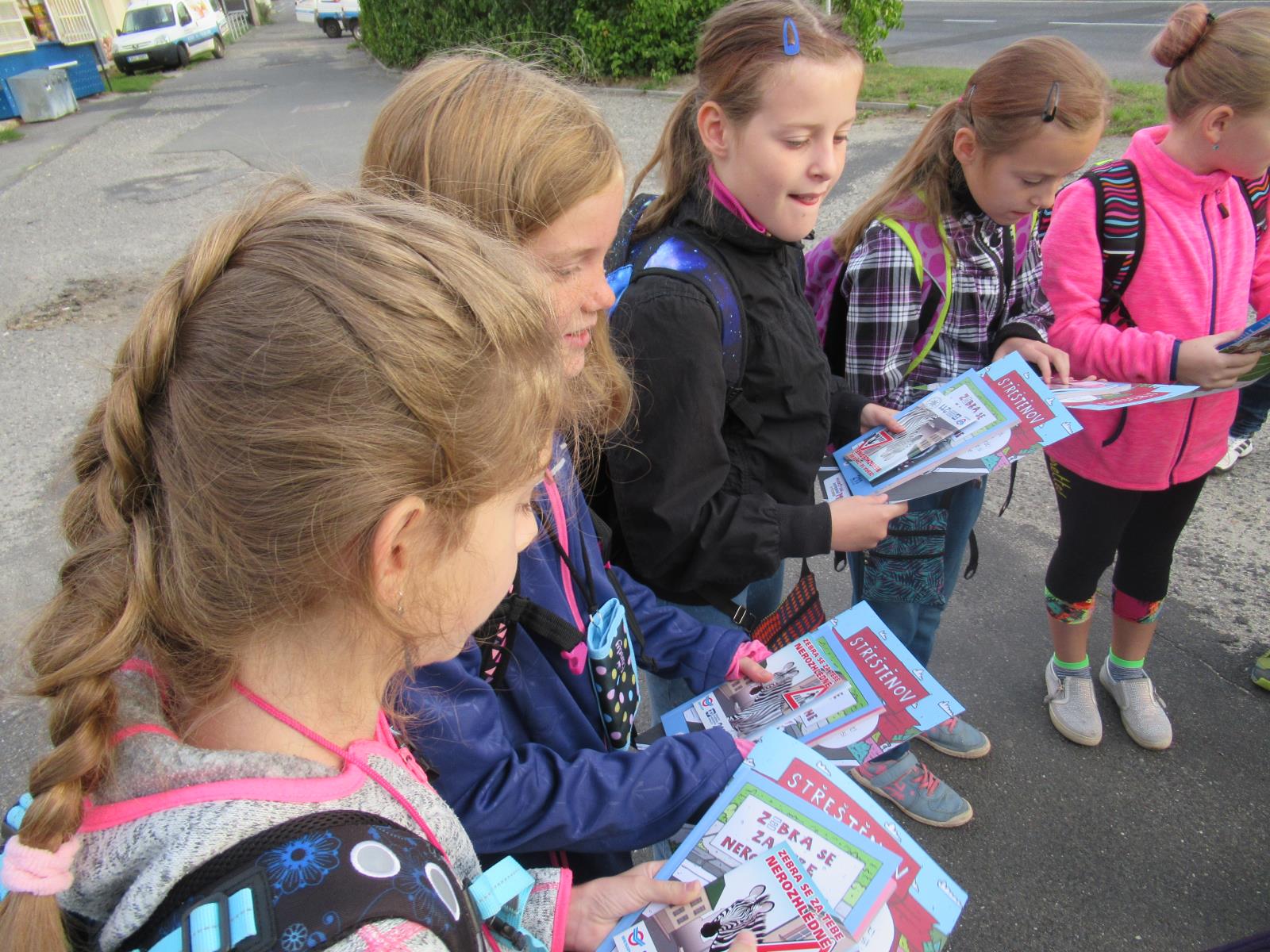 Zebra Jablonec (15)