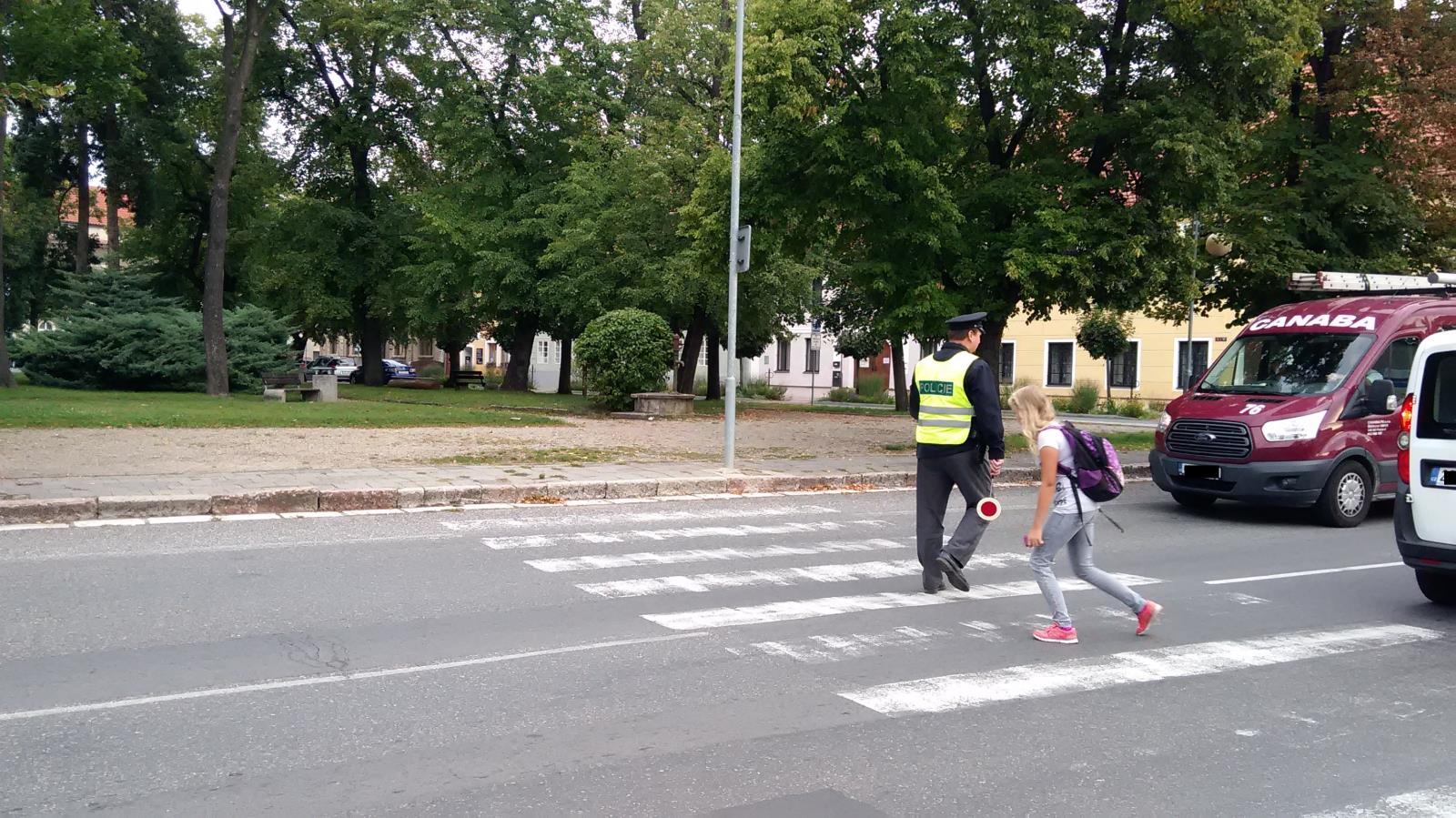 Zebra Kostelec nad Labem