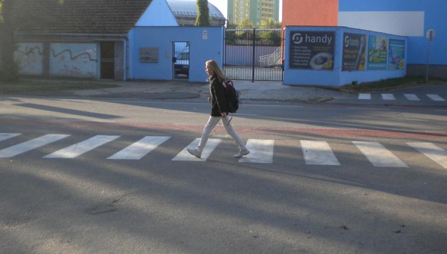 Zebra Kupkova.jpg