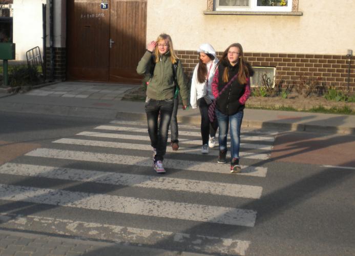 Zebra Lanžhot 2.jpg