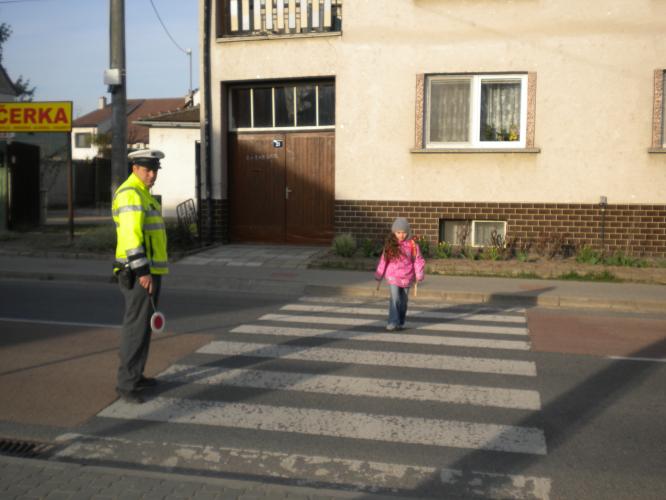 Zebra Lanžhot 4.jpg