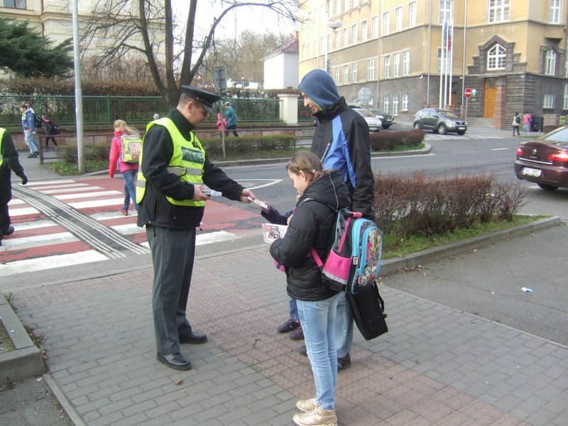 Zebra - Louny