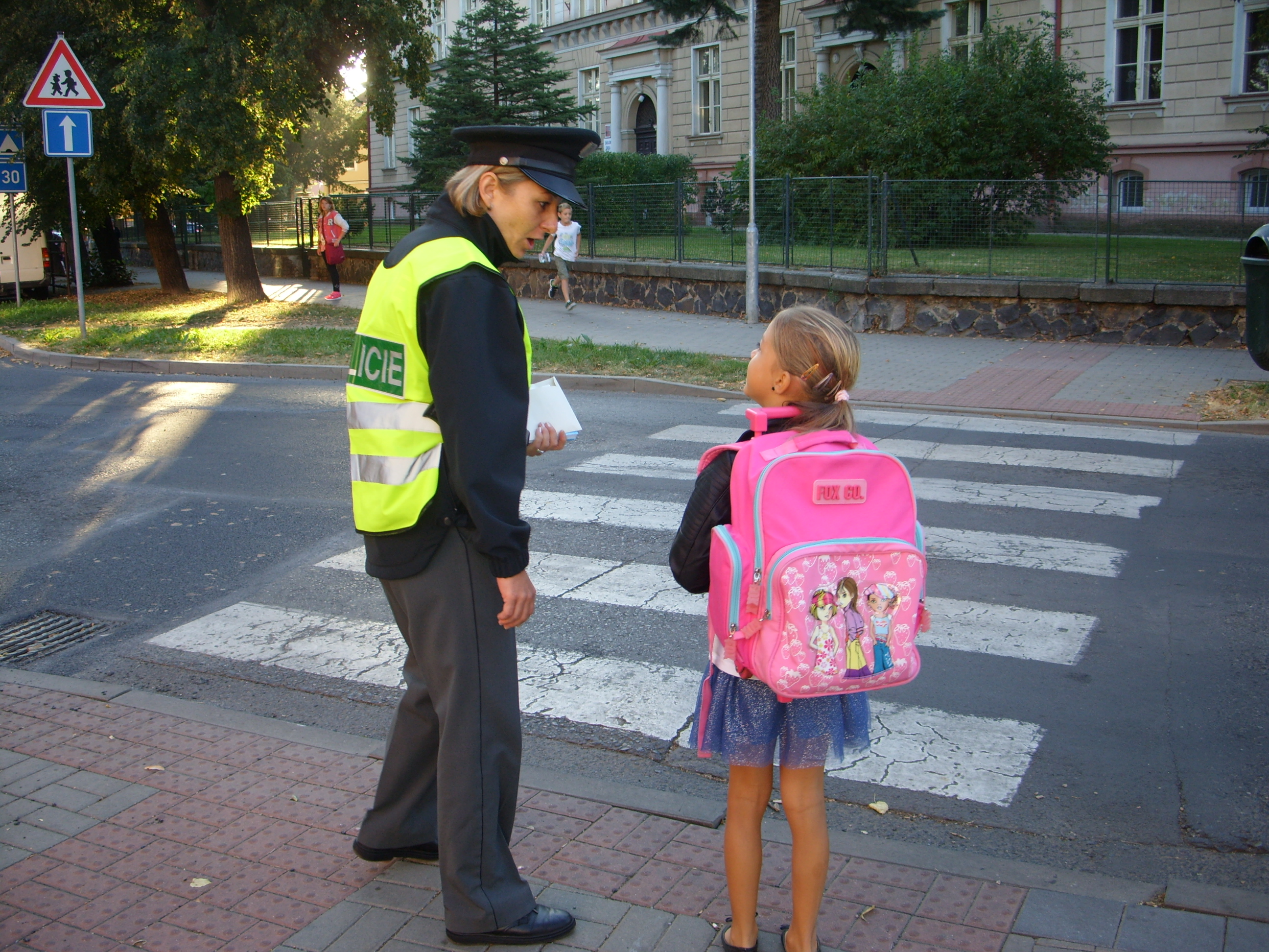 Zebra - Louny
