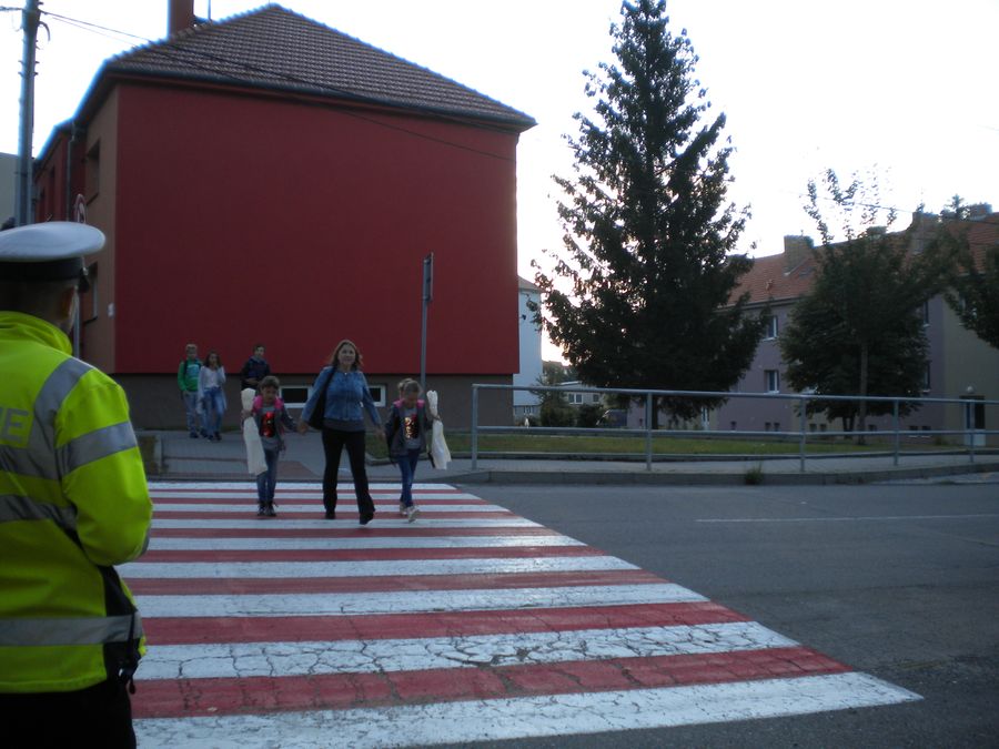 Zebra Rousínov2.JPG