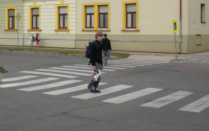 Zebra Slovácká (1).jpg