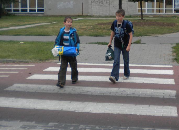 Zebra Slovácká (2).jpg