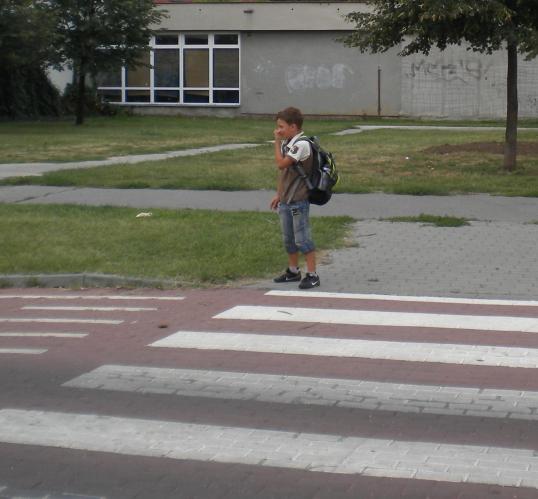 Zebra Slovácká (3).jpg