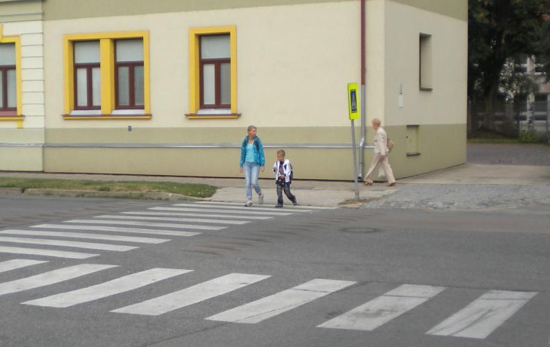 Zebra Slovácká.jpg
