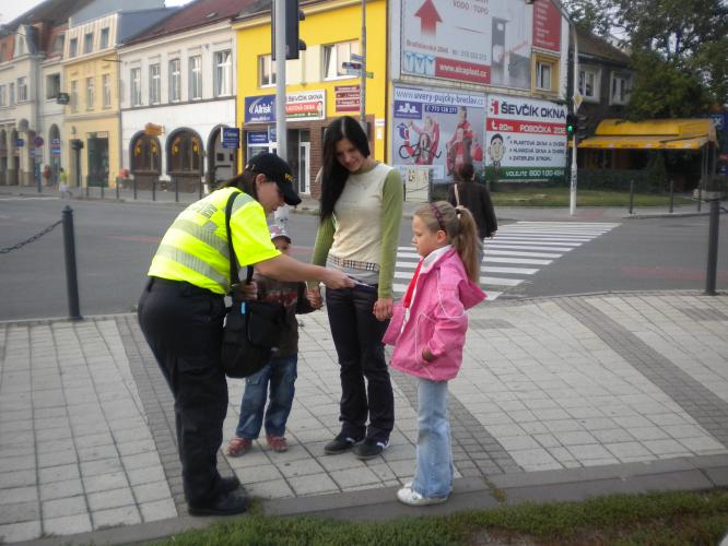 Zebra Sovadinova.jpg