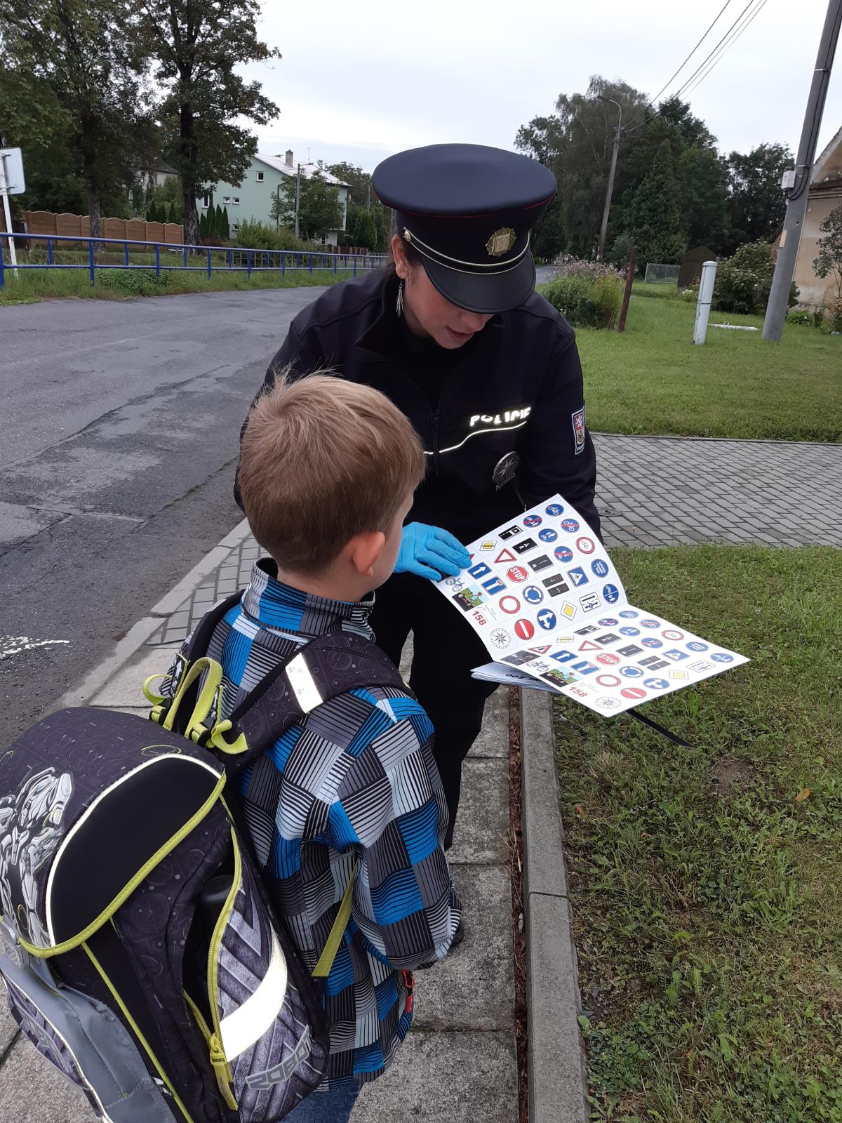 Zebra-Velké Albrechtice I.jpg