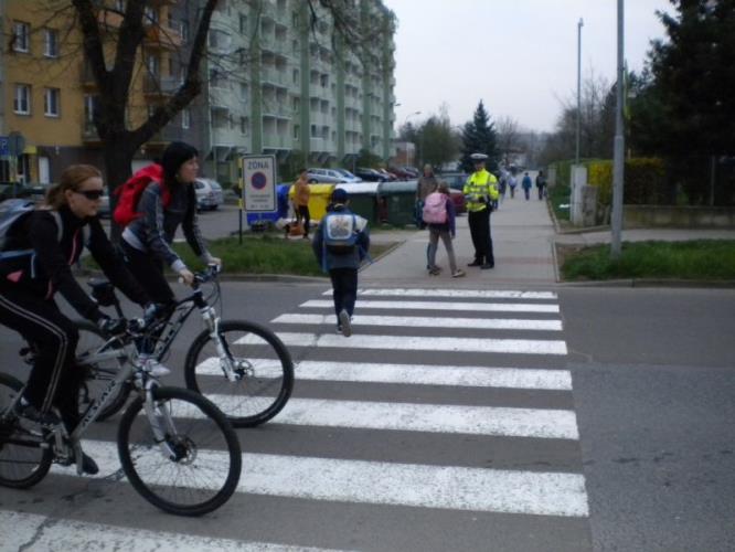 Zebra Vyškov 1