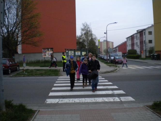 Zebra Vyškov 3