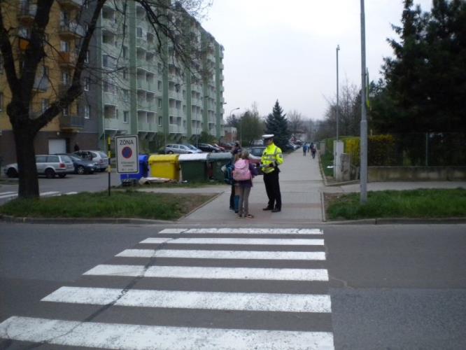 Zebra Vyškov2