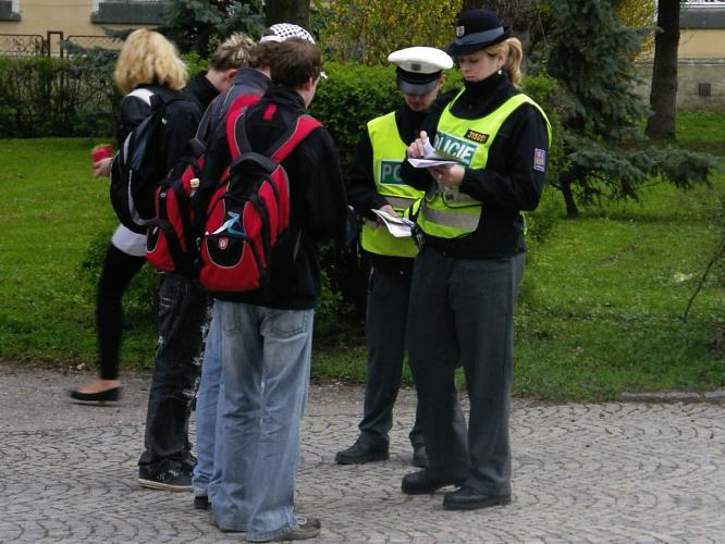 Zebra Vysoké Mýto 5