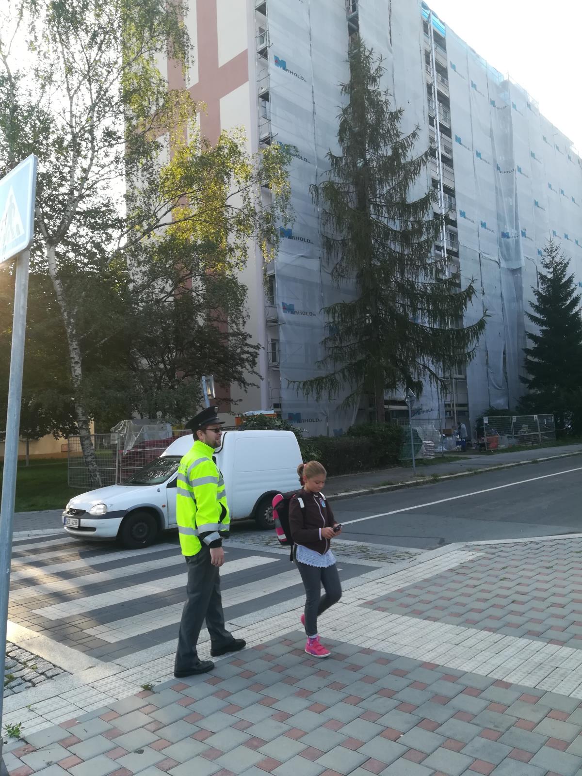 Zebra na Pardubicku