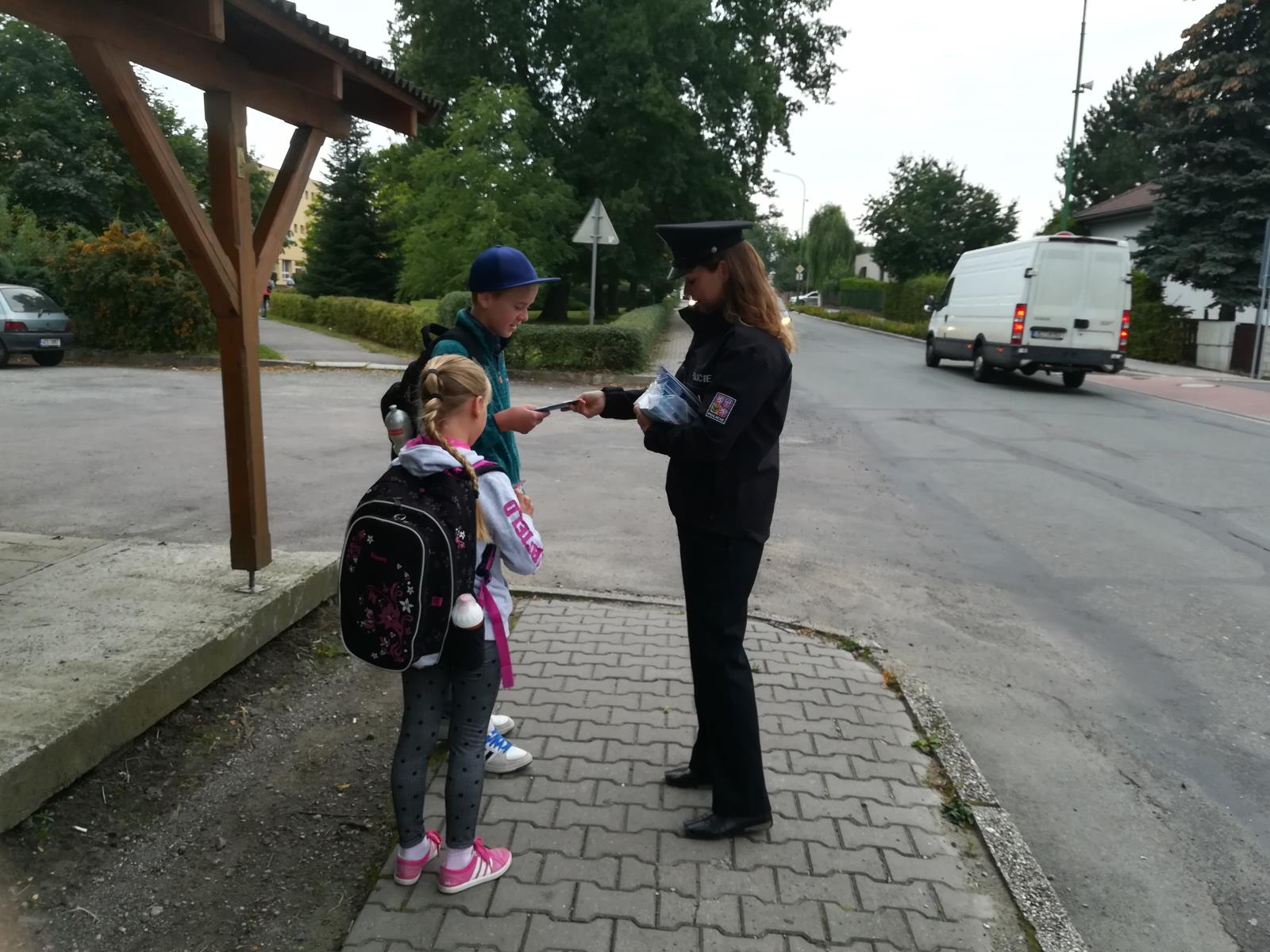 Zebra na Pardubicku
