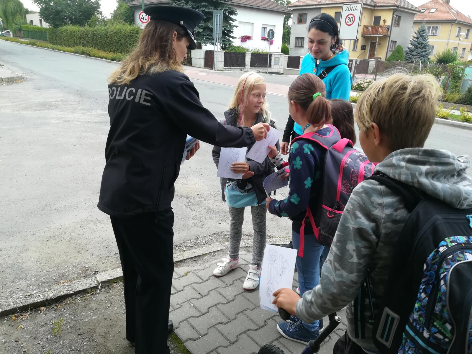 Zebra na Pardubicku