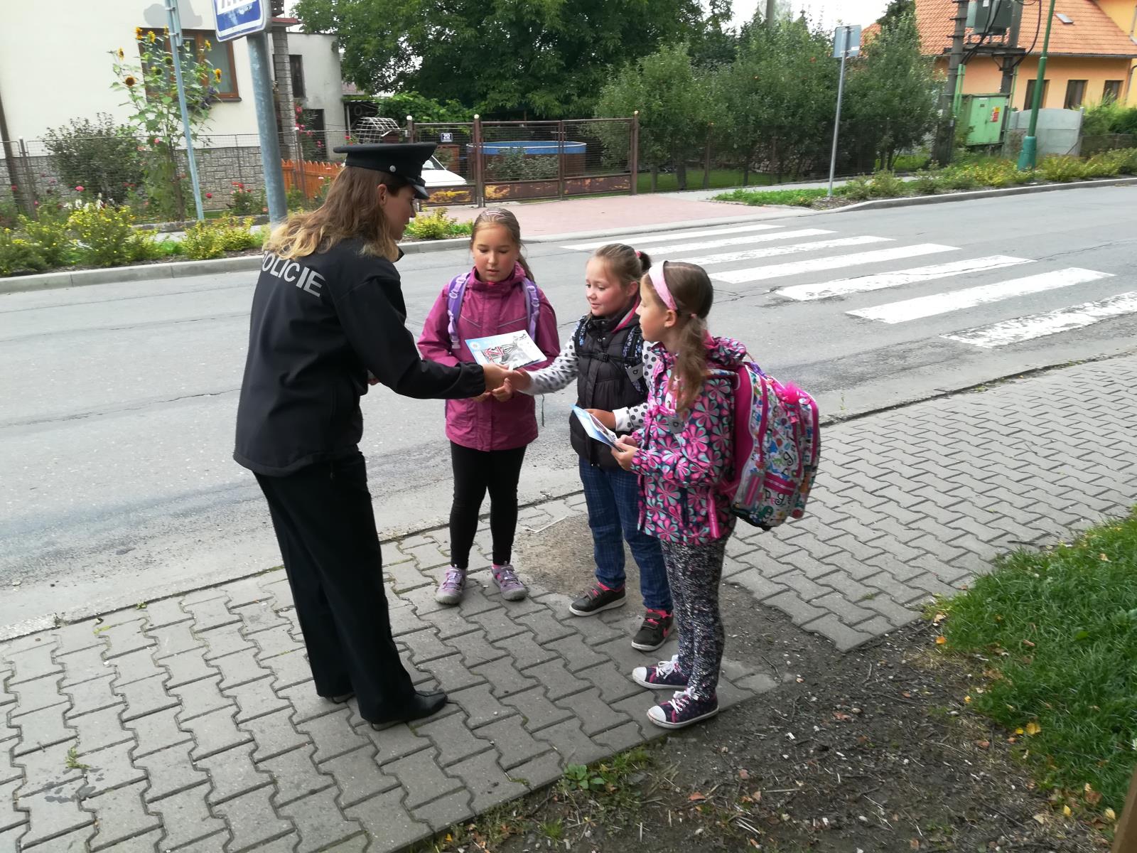 Zebra na Pardubicku