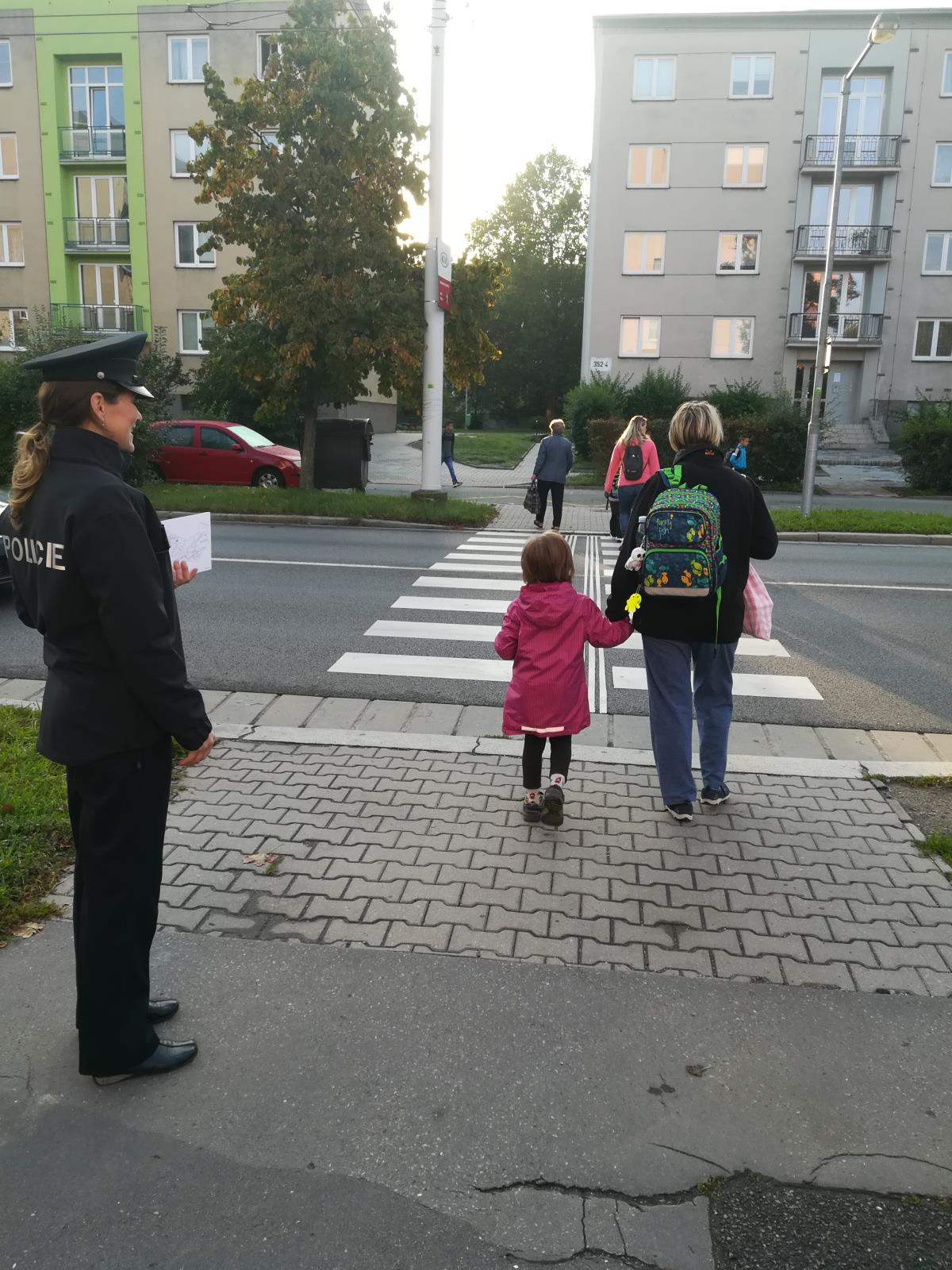 Zebra na Pardubicku