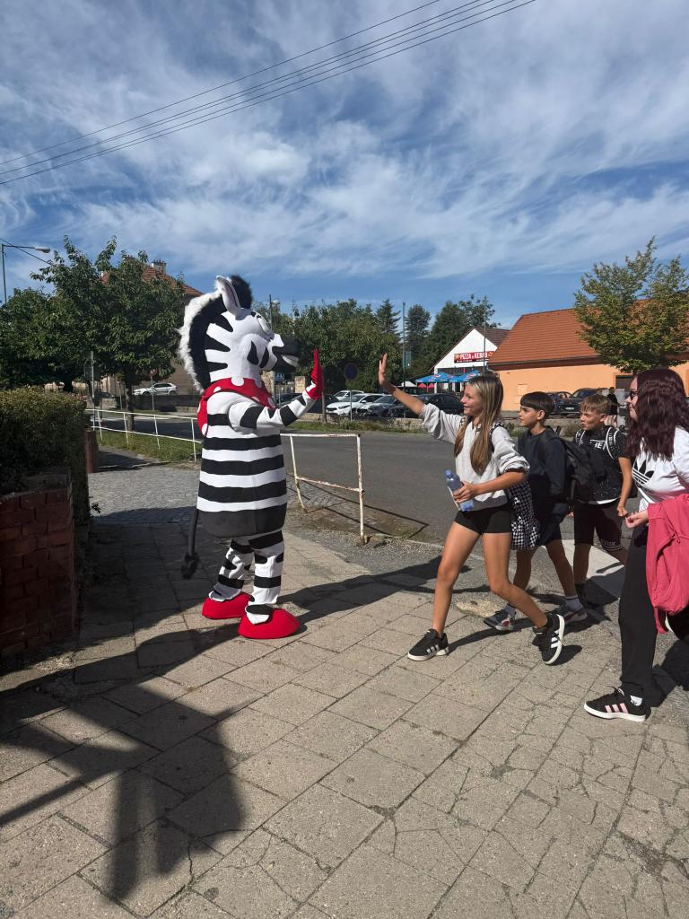 Zebra na kladensku