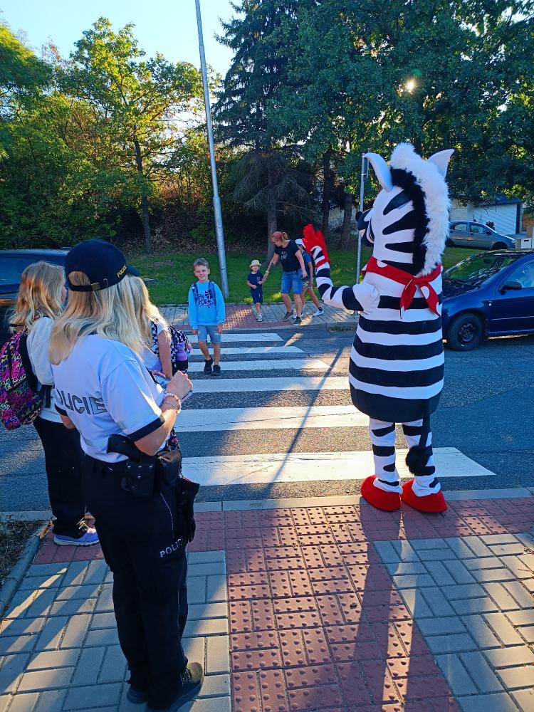 Zebra na kladensku
