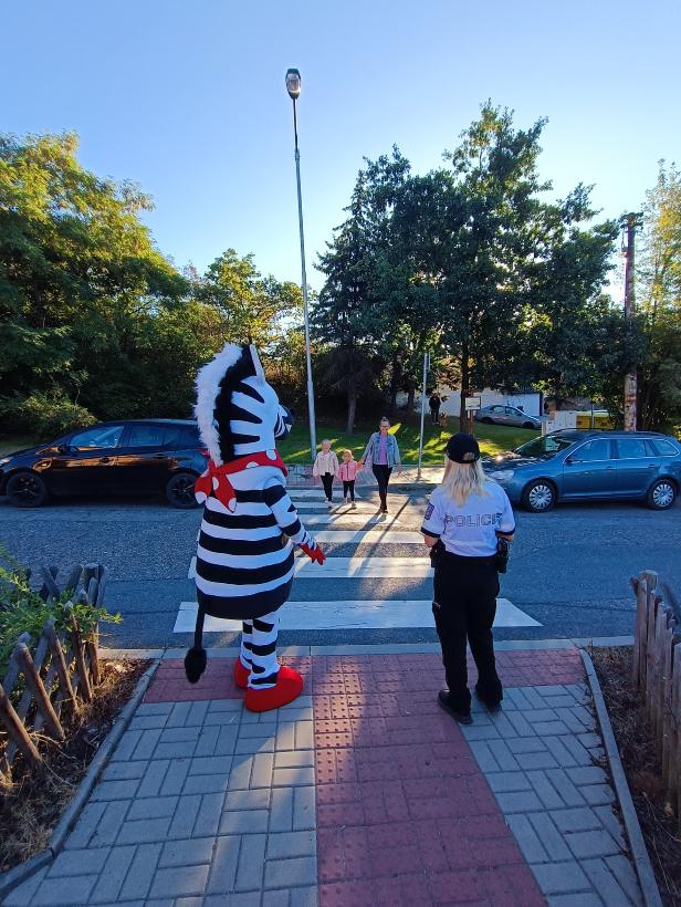 Zebra na kladensku