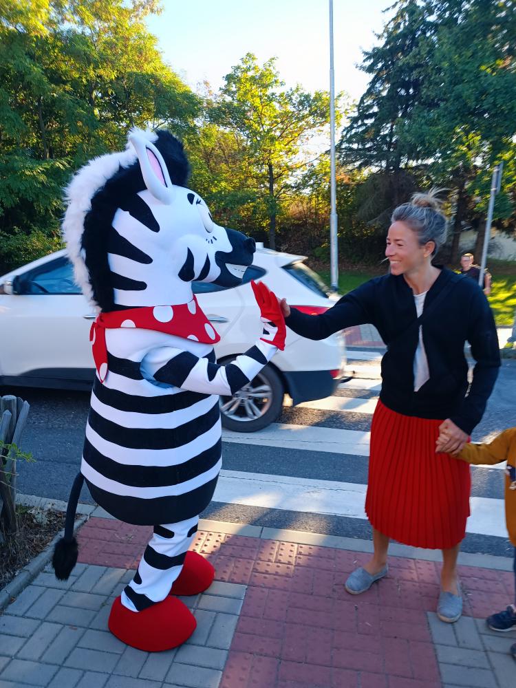 Zebra na kladensku