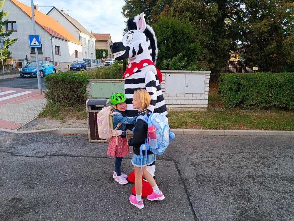 Zebra na kladensku