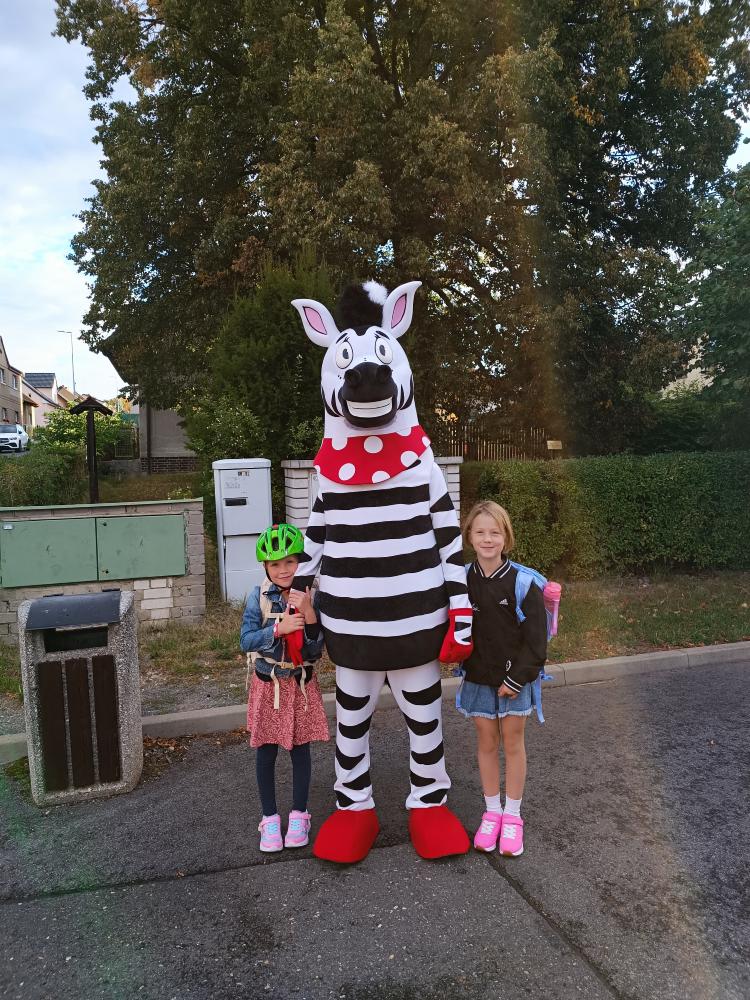 Zebra na kladensku