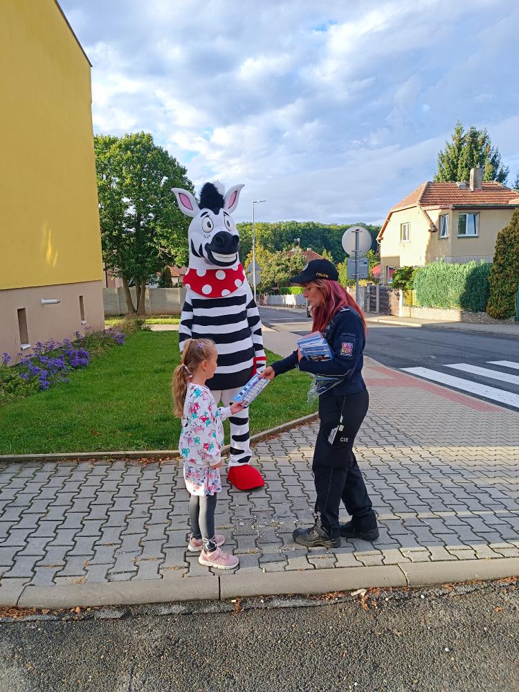 Zebra na kladensku