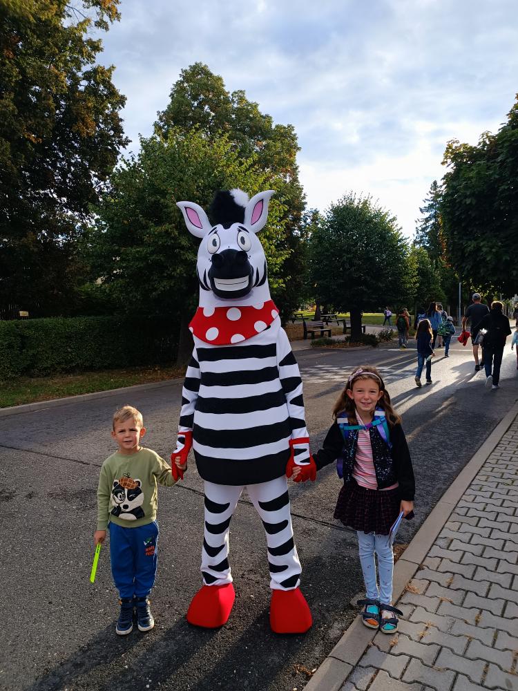Zebra na kladensku