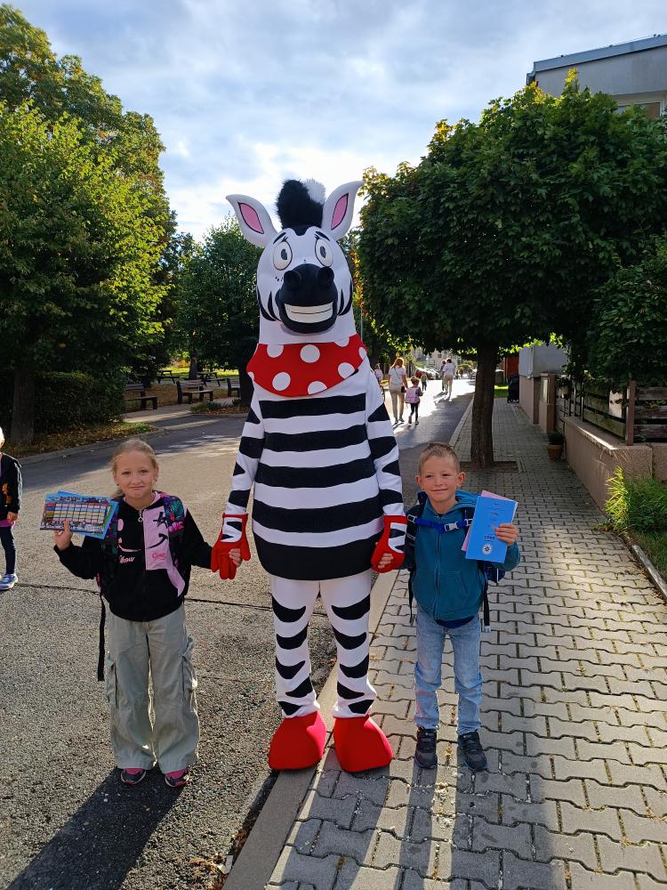 Zebra na kladensku