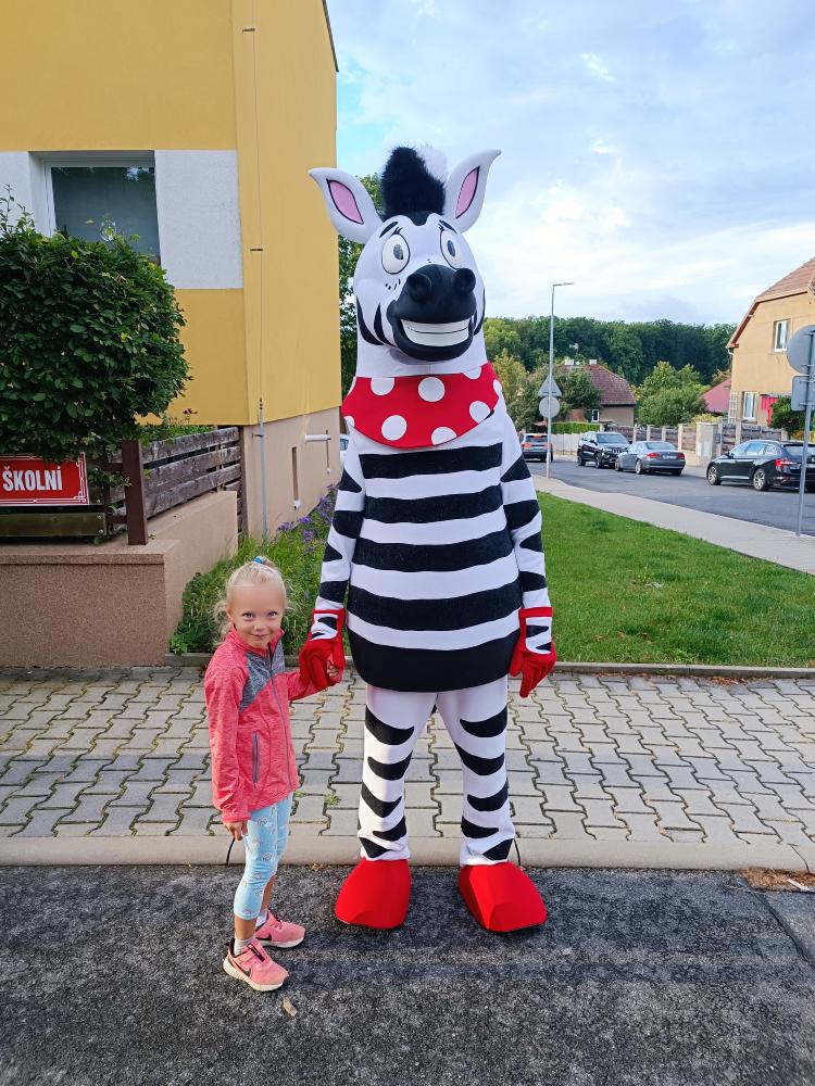 Zebra na kladensku