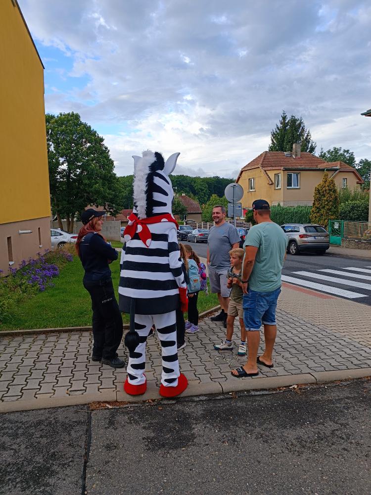 Zebra na kladensku