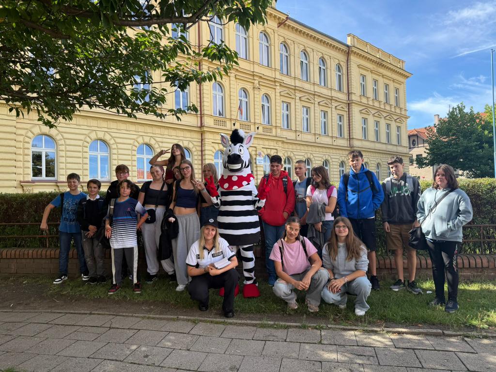 Zebra na kladensku