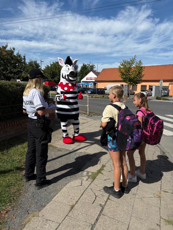 Zebra na kladensku