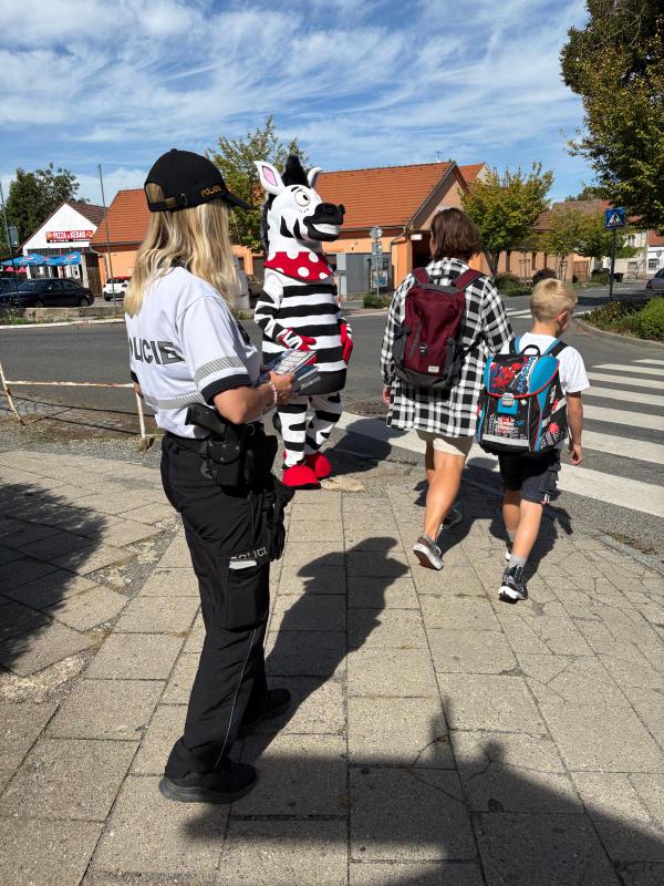Zebra na kladensku