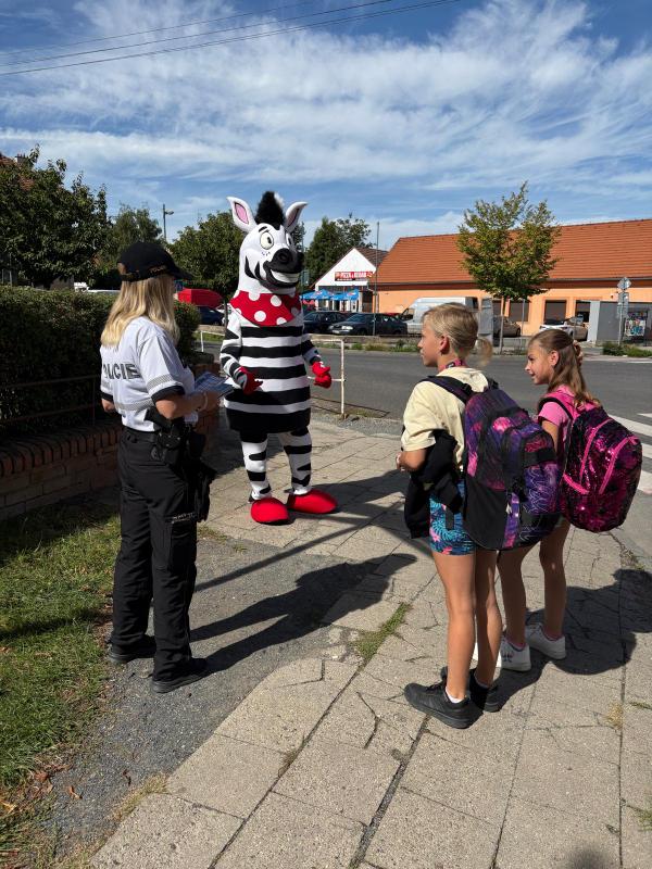 Zebra na kladensku