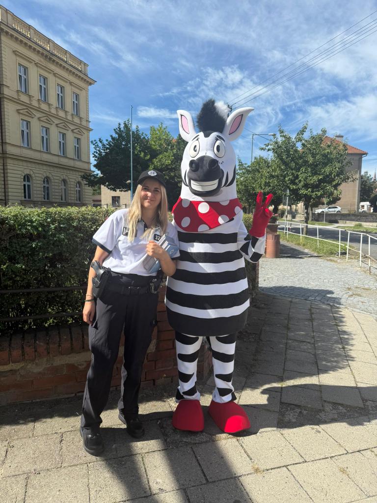 Zebra na kladensku
