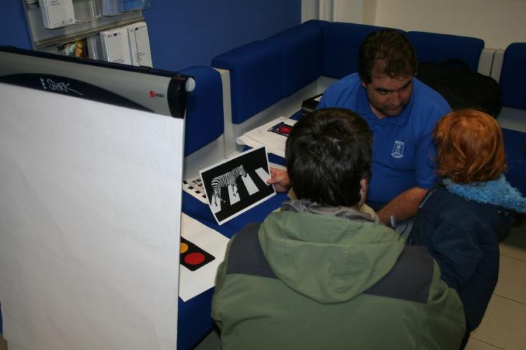 Zebra neboli přechod pro chodce