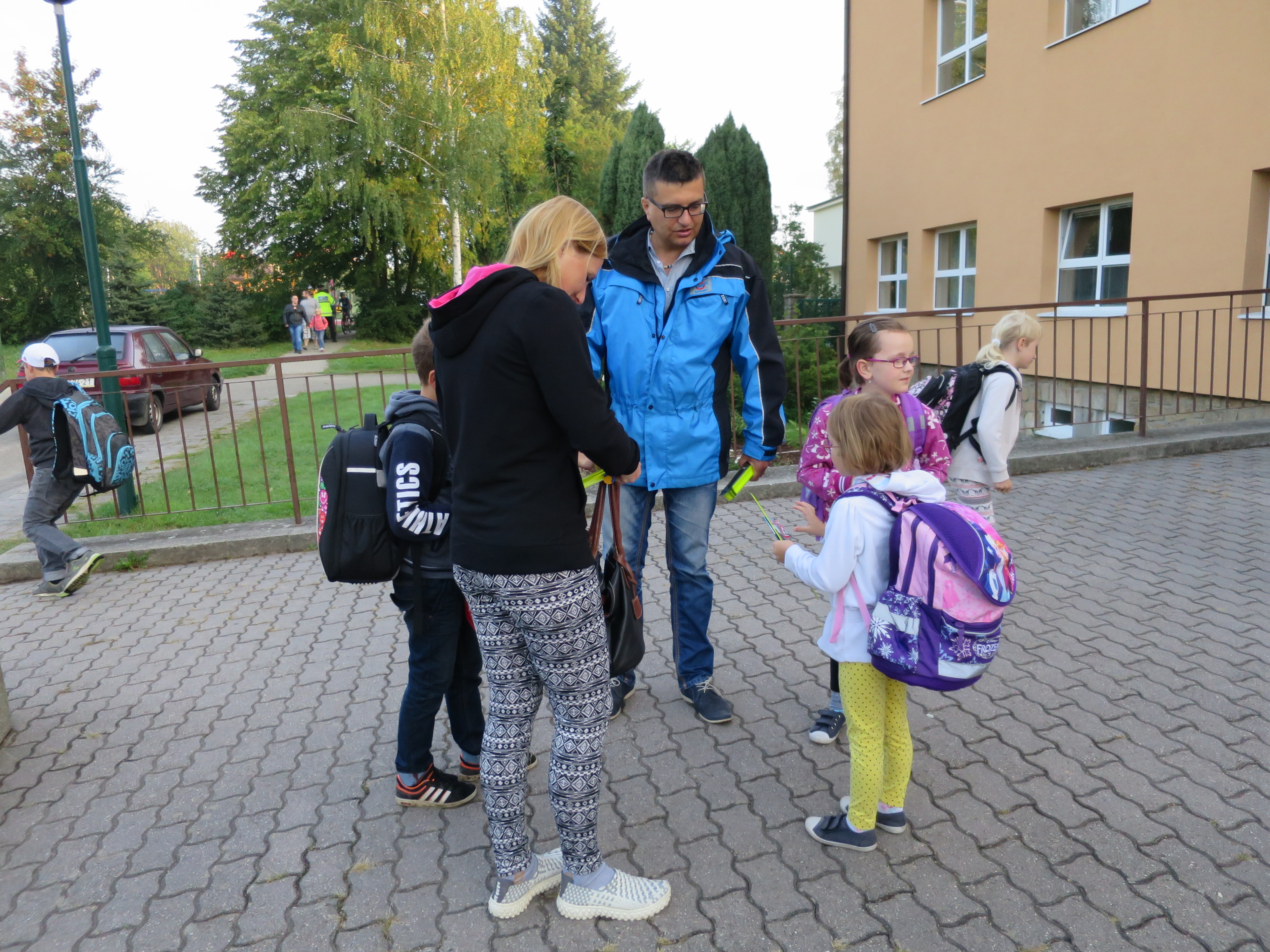 Zebra podzim 2016 2.JPG